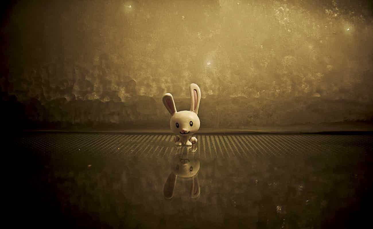 photo-1439436556258-1f7fab1bfd4f